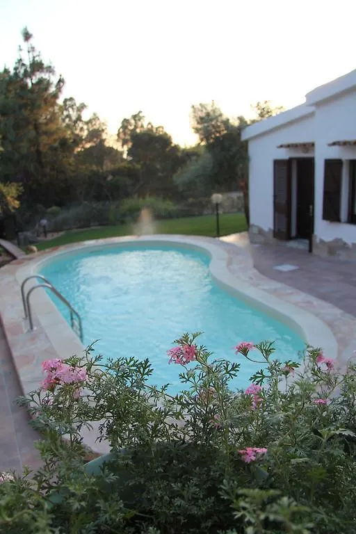 Alma Bed & Breakfast Torre delle Stelle